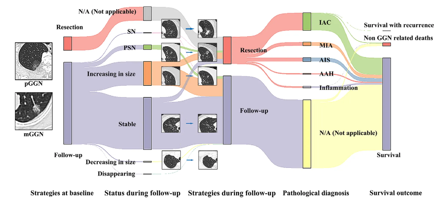 1:总体研究流程