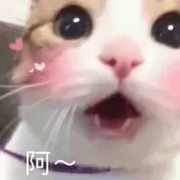 狡猫三窝